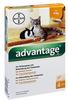 PZN-DE 09670096, Advantage 40 mg für kleine Katzen und Zierkaninchen Lösung Inhalt:
