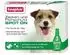kleine Hunde bis 15 kg (3 x 1 ml): Beaphar Zecken- & Flohschutz Spot-On für Hunde