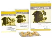 Hepatosan 700 Di&auml;t-erg.futterm.tab.f.hun 30 St