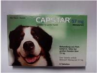 Capstar f&uuml;r gro&szlig;e Hunde bis ab 11 kg 6 St