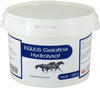 Gelatine Hydrolysat Equus Pulver vet. 1000 g
