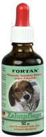 FORTAN Zahnpflegemittel vet. 50 ml