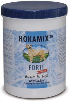 Hokamix 30 Pulver Forte 750g