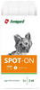 Amigard Spot-On Anti-Parasit Hund, 3 x 2 ml, Grundpreis: &euro; 4,30 / 1