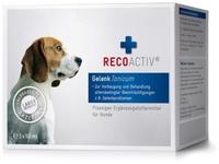 Recoactiv Gelenk Tonicum f.Hunde Kurpack 3X90 ml