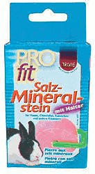 Trixie Salz-Mineralstein (84 g)