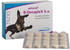 almapharm astoral B-DecapleX ha 100 Tabletten