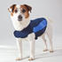 Thundershirt für Hunde