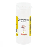 Vitamin B Komplex Kapseln f.Hunde 100 St