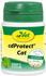 cdVet CdProtect Cat 12g