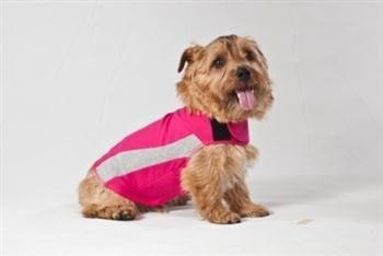Thundershirt f&uuml;r Hunde