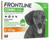 Frontline Combo Spot On Hund