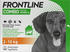 Frontline Combo Spot On Hund