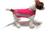 Thundershirt für Hunde