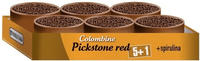 Versele-Laga Colombine Pickstein rot 600 g