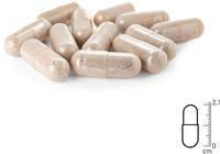 Gr&uuml;nlippmuschel Kapseln 100 St 50 g