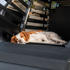 Thule Dog mat wide (770103)