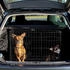 Lionto Hundetransportkäfig Tiertransportbox Hundebox Größe (S) 45x31x36 cm L