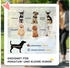 Pawhut Hundewagen mit Kissen faltbar