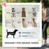 Pawhut Hundebuggy klappbar bis 30 kg