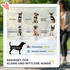 Pawhut Hundewagen Hundebuggy klappbar für Hunde & Katzen bis 20 kg Katzenbuggy
