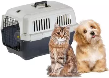 Ferplast Katzentransportbox Clipper 2
