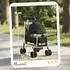 Pawhut Hundebuggy faltbar, bis 10kg, grau (D00-245V00GY)