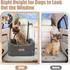 LuxusKollektion Hunde-Autositz Booster, mittlere Hunde bis 15kg, waschbar, grau