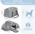 Petsfit Faltbare Transporttasche für Katze & Hund, erweiterbar, grau, L