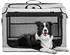 Petsfit Faltbare Hundebox für Zuhause & Auto, verstellbar, hellgrau, L 76x51x48cm