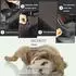LuxusKollektion Hunde-Autositz, tragbar, waschbar, schwarz/braun, Medium