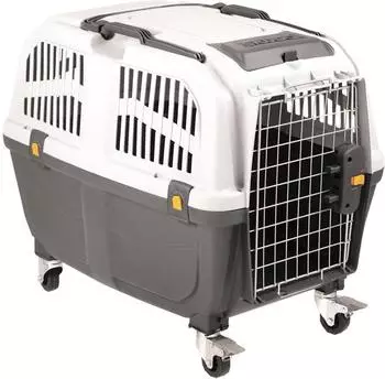 Nobby Transportbox Skudo IATA 4 grau