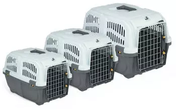 Nobby Transportbox Skudo IATA 2 grau