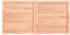 vidaXL Tischplatte Hellbraun 120x60x6 cm Massivholz Eiche Behandelt
