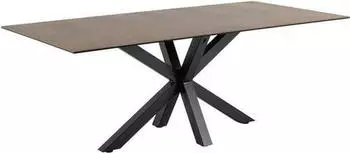 Mid.you Esstisch Braun Rost Keramik rechteckig 100x75.5x200 cm