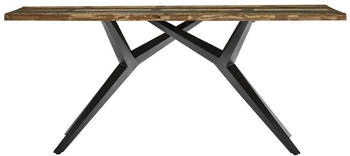 SIT Esstisch 240x100 cm 40 mm Altholz bunt lackiert Metallgestell schwarz 240x100x73 cm (15555-11)