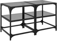vidaXL Couchtische mit Glasplatten 2 Stk. Schwarz 40x40x45 cm Stahl