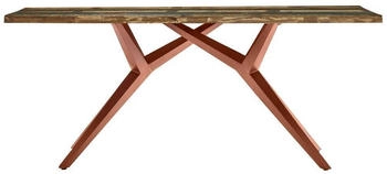 SIT Esstisch 240x100 cm 40 mm Altholz bunt lackiert Metallgestell braun 240x100x73 cm (15555-00)