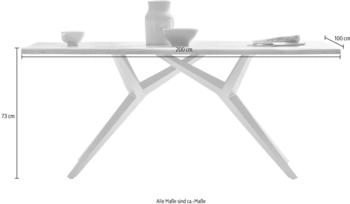 SIT TABLES & CO Tisch 200x100 cm Platte natur, Gestell antiksilber (15531-40)