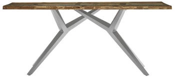SIT Esstisch 240x100 cm 40 mm Altholz bunt lackiert Metallgestell silber 240x100x73 cm (15555-40)