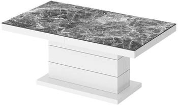 designimpex Couchtisch H-333 120x65x70cm dunkel Marmor/weiß Hochglanz