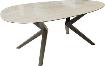 DeLife Esstisch Edge Oval 220x120 Keramik Iris FMG effektfinish titan (38345)