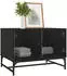 vidaXL Couchtisch mit Glastüren Schwarz 68,5x50x50cm (836540)