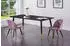 ebuy24 Dipp Esstisch Holzwerkstoff furniert, Metall, 90x180cm, schwarz/messing (7350107087095)