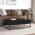 vidaXL Couchtisch Schwarz 100x50x35cm Holzwerkstoff und Metall (848779)