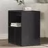 vidaXL Beistelltische 2 Stk. Schwarz 50x30x50cm Holzwerkstoff (840558)