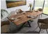 Massivmoebel24 Freeform 5 Esstisch Baumkante Sheesham grau 260x100cm (09-116-834-2127)