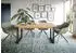 xonox.home Seattle Esstisch ausziehbar 150-190x76x90cm Artisan Eiche (X5NE3T62)