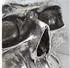 MCW MCW-A19 Beistelltisch Totenkopf, Polyresin/Glas, silber, 52x55x55cm (MCW-A19)