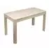 Wohnling Esstisch Mangoholz massiv 120x60cm White Wash (WL7.379)